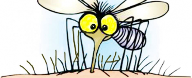 Mosquito. Imagen principal