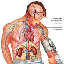 images[3]