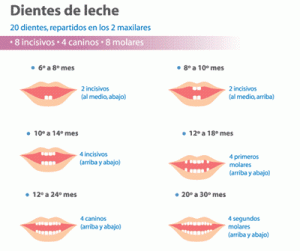 pansoral_calendario_dental[1]
