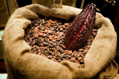 CACAO - 002[1]