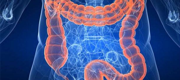 flora-intestinal