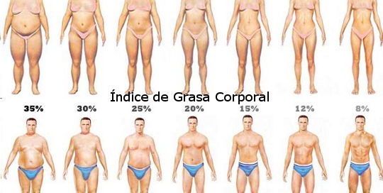 grasa-corporal