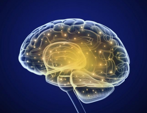 Cómo mantener el cerebro en forma