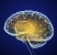 mantener el cerebro en forma
