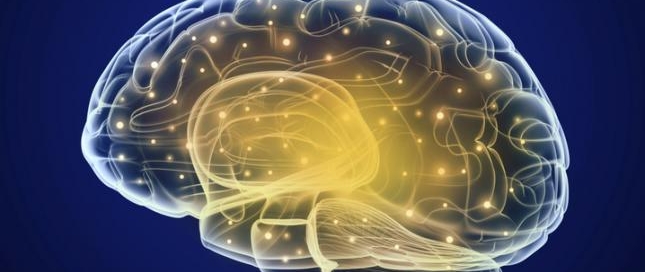 mantener el cerebro en forma